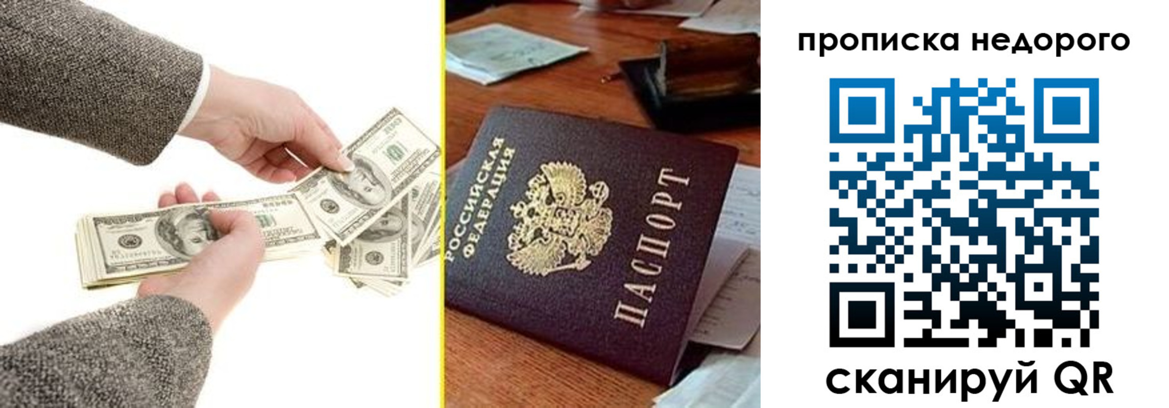 прописка для работы в Балтийске